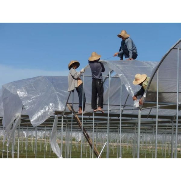 4 м 6 м 0,7 мм Алюминиевый канал профиль Цинковый замок для тепличной пленки