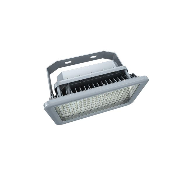 20-400W Explosion Proof LED Lights Chemical Industry IP66 Gas Station