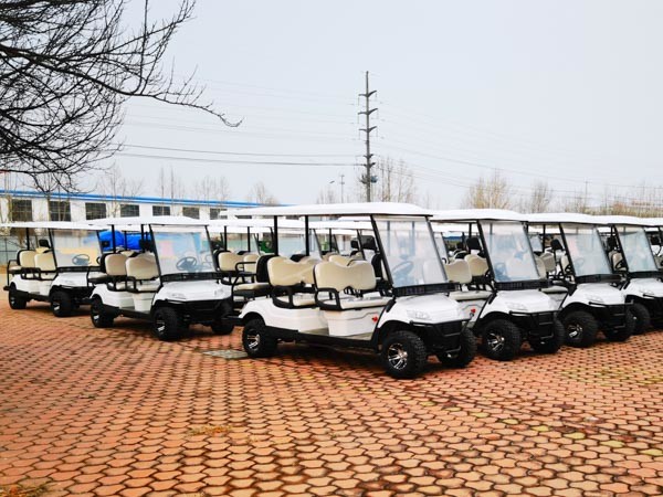 Тележки гольфа 20Мпх Сайтсеиинг законной общины улицы Аэтрик 2021 для сада