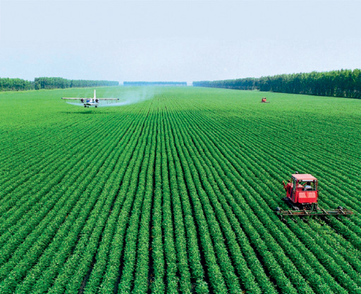 Water Treatment Chemicals Calcium Hydroxide For Enhanced Industrial And Agricultural Processes