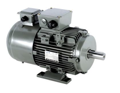 Aluminum Asynchronous Inverter Motors 3 Phase