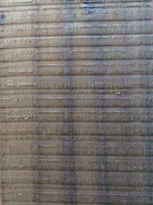 O eucalipto Fumed do corte áspero folheia a madeira natural laminada 0.5mm