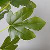 Real Touch 120cm Artificial Tree Bonsai Plant Fig Tree Ficus Carica Decorative Tree Artificial Plant Home Decor