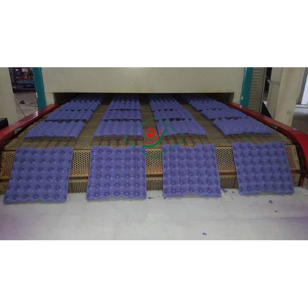 Maquinaria del cartón del huevo de la celulosa/cajón automáticos del huevo que moldean que hace la máquina 1000pcs/h