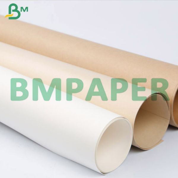 210g + 15g PE Coated Food Grade Noodle Bowl Cup Stock Paper Board In Jumbo Roll