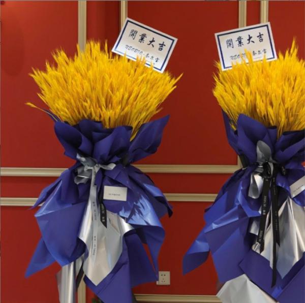 Handcrafted Floral Art Jincai Paper's Grand Opening with Two-Color Gilded Ouya Flower Wrapping Paper
