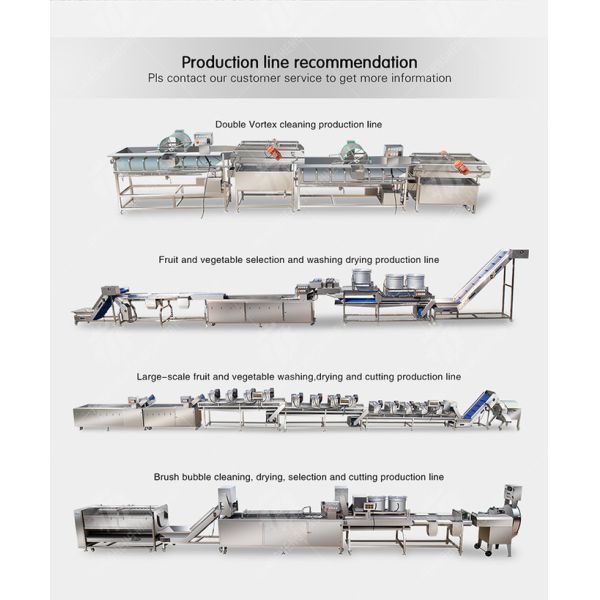 Fruit Orange Leaves Vegetables sward beans  Herbs Fruiting vegetables Wash Washer Washing Cleaning processing production Double cylinder fruit and vegetable washing machine
