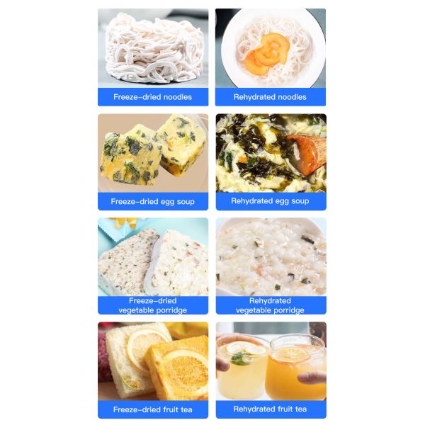 Double Compressor Vegetable Freeze Dryer Fruit Flower Vacuum Freeze Drying Equipment