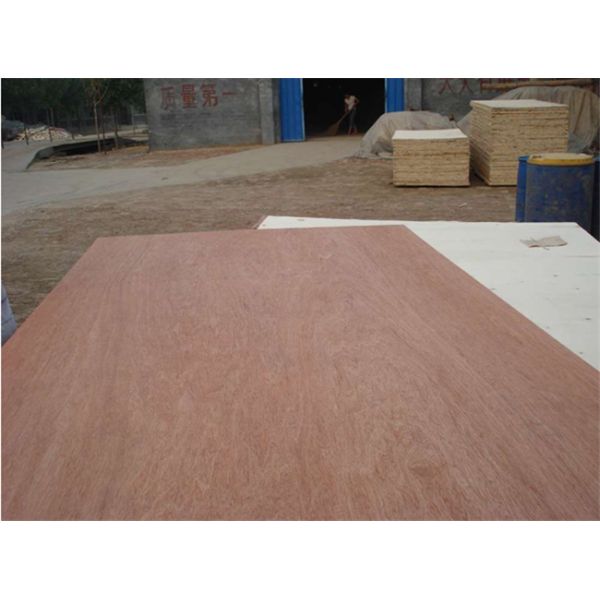 Furniture Decorating Hardwood 9mm Bintangor Plywood