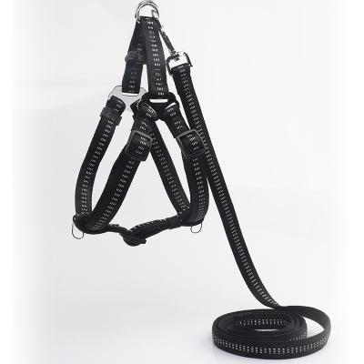 Nenhum absorvente da tração desliza não o grupo ajustável reflexivo do colar da trela do chicote de fios do cão de nylon