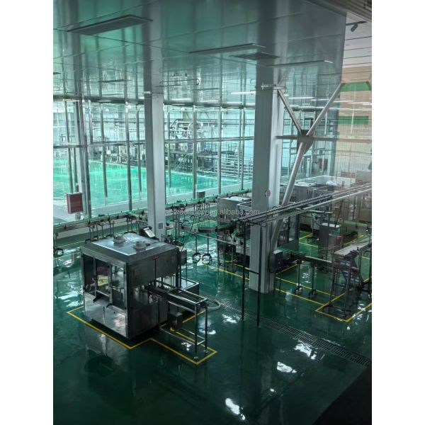 1T-1500T/D Линия обработки томатной пасты для полностью автоматического производства томатного соуса