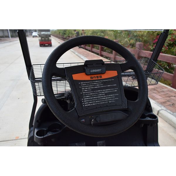 2 Person Electric Golf Carts Club Electric Buggy With Golf Bag Bracket With CE Certification