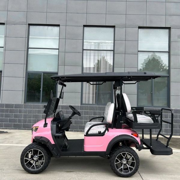 Eco-Friendly 4 Seater Golf Cart for Sustainable Business Practices