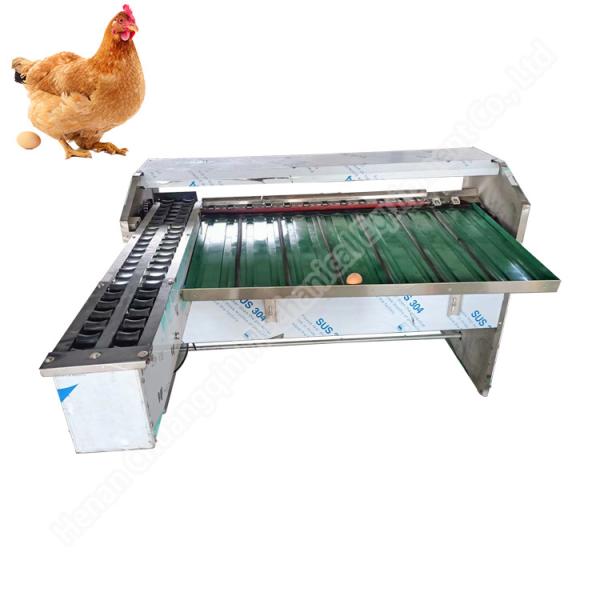 Egg Weight Grade Chicken Egg Sorting Machine 4000pcs/H Egg Grader 304 Stainless Steel