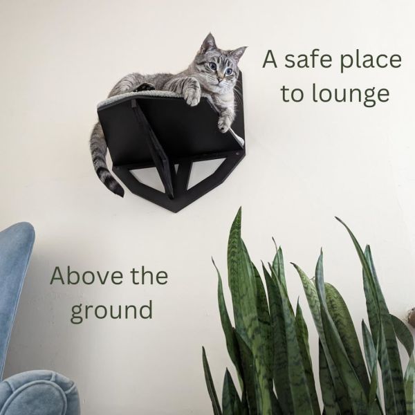 Function Save Space Wall Mounted Cat Shelf with Shelves Perches and Hanging Bed