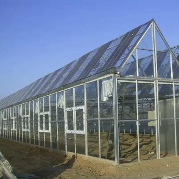 Ventilação hidropônica Estufas fotovoltaicas 6/9 e 6/12 metros para a produção agrícola