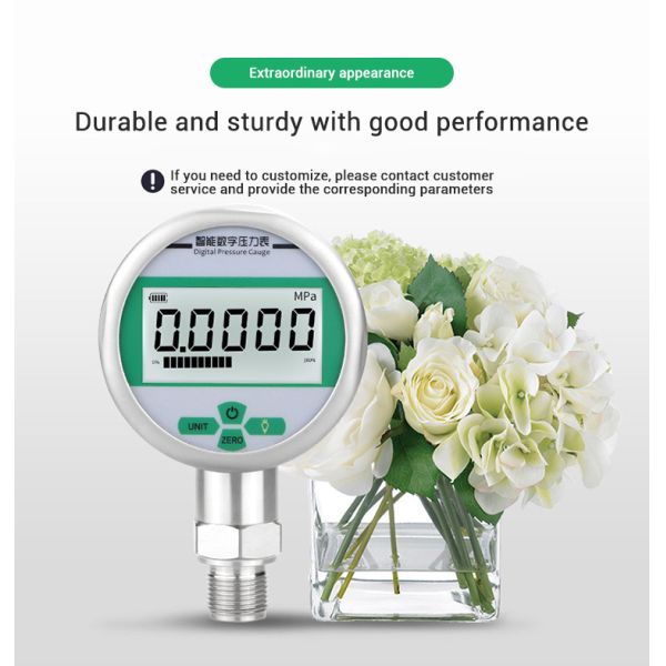 Stainless Steel 304 SS M20*1.5 Thread Gas Manometer Pressure Gauge with Battery Power