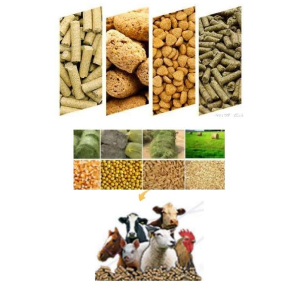 1-12mm Feed Pellet Size Animal Feed Pellet Production Line