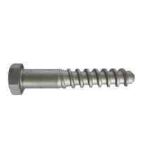 Os prendedores da trilha de estrada de ferro Ss25, encantam o OEM de Spike Carbon Steel Material do parafuso do trilho