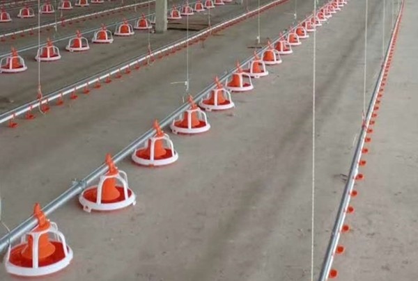 Poultry Farm 25mm Chicken Nipple Waterer With Thread