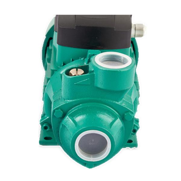 Bomba de água submergível hidráulica periférica 220V 50Hz elétrica