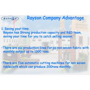FOSHAN RUIXIN NON WOVEN CO.,LTD