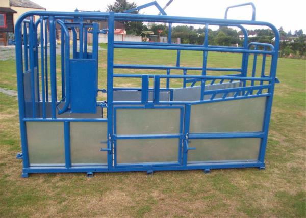 UK Standard complied Cattle Crush
