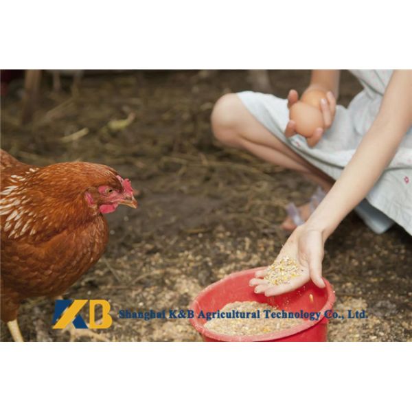 Animal Protein Nutritious Dried Fish Powder / Poultry Chicken Feed Non - GMO Grade