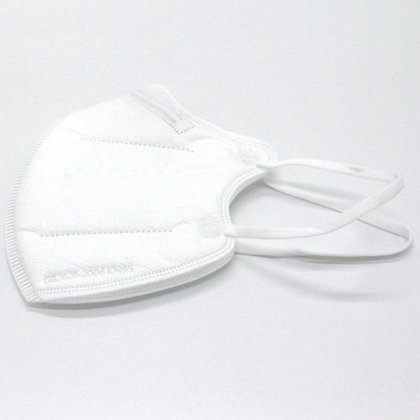 Safety Wearing Medical Mask Anti Air Particulate Respirator Dust PM2.5 FDA