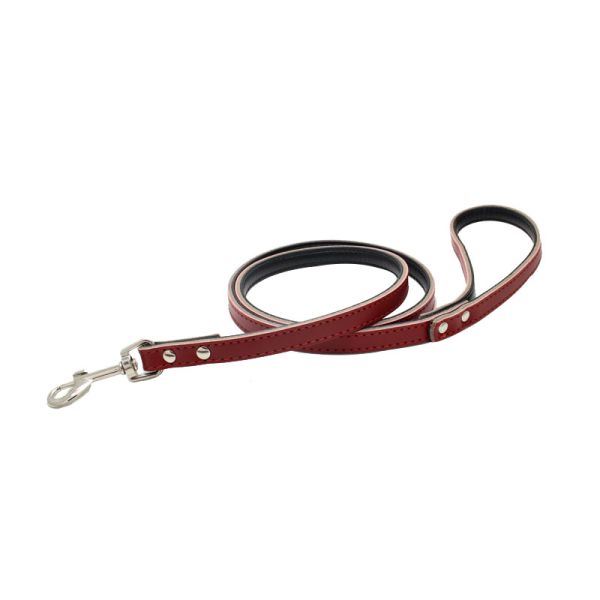 Custom Puppy Popular Pet Dog Leather Collar Dog Leash