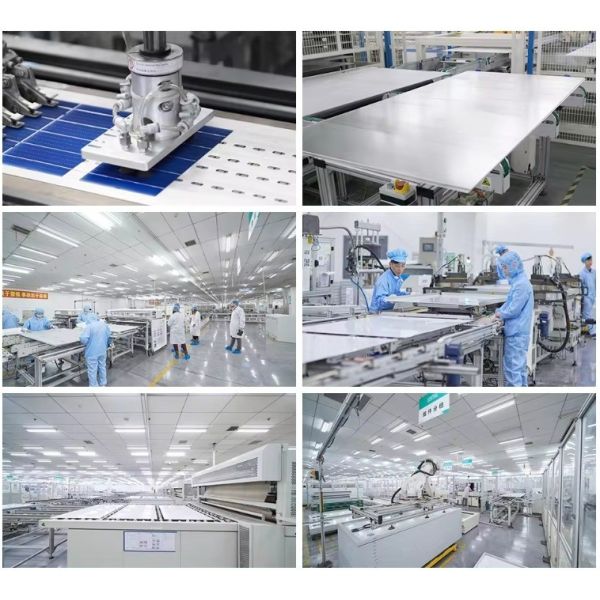 Panel Dimensions 2384x1303x33mm N Type Monocrystalline Silicon Module TSM-NEG21C.20