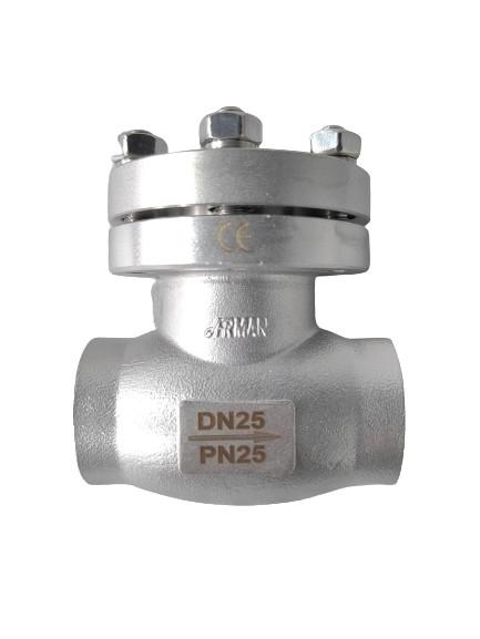 Stainless Steel DN25 PN25 Cryogenic Check Valve Disc Shaped OEM For LNG