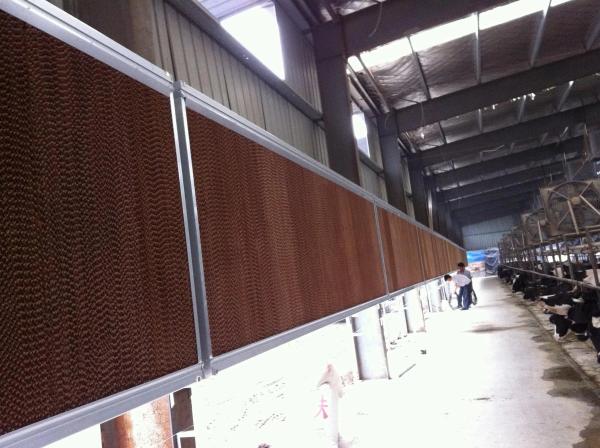 Big Sale Husbandry Honeycomb Cellulose Evaporative Cooling Pad for Greenhouse Cooling System With Brown Color 10mm
