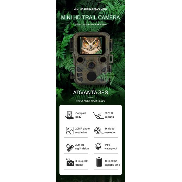 Night Vision Hunting Camera Outdoor Waterproof 20MP 1080P Mini Trail Camera