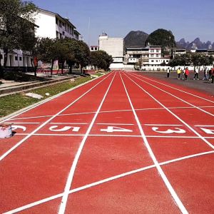 Multicolor All Weather Jogging Track Flooring Material Aging Resistance