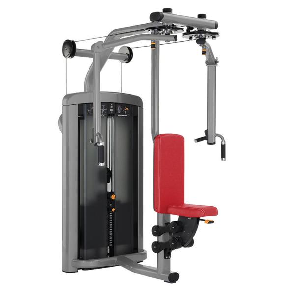 Equipamento resistente do Gym da aptidão da vida mosca do pro/máquina peitorais Deltoid da parte traseira