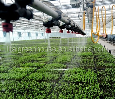 Film Covered Galvanized Greenhouse for Stable Structure and Vegetable Cultivation
