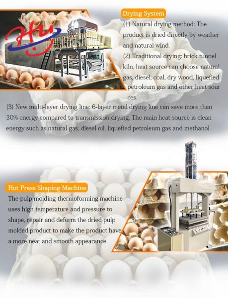 Egg Tray Moulding Machine Paper Plate Manufacturing Equipment
