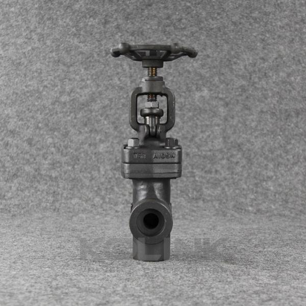 Angle Forged Steel Globe Valve SW NPT Carbon Steel