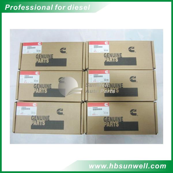 CCEC QSM11 Diesel Fuel Injection Parts 4026222 Original Cummins Packing