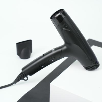 Customized 220V High Speed Hair Dryer Brushless Motor 420g Weight
