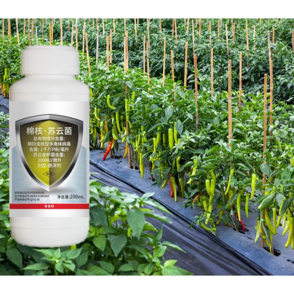 ECO Friendly 10 million PIB/mL HaNPV+2000IU/mL Bt Biological Pesticide for Helicoverpa armigera Control with No Residue