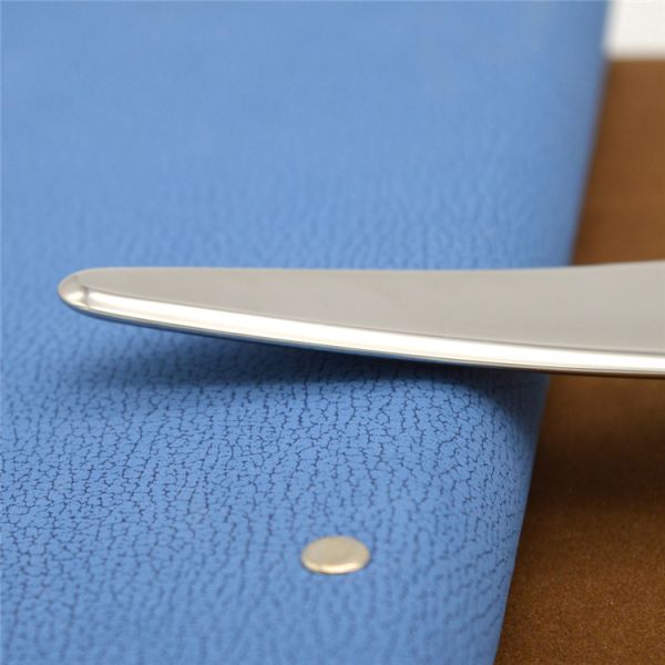 Stainless Steel Bird Shape Gua Sha Board for Body Massage and Massager Properties Iastm Tools