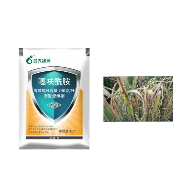 Tifluzamida SC Fungicida Biológico Tratamento da doença da vesícula biliar da bainha do arroz