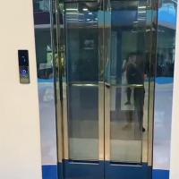Elevadores residenciales compactos de tracción de acero inoxidable velocidad 0.6 M/S
