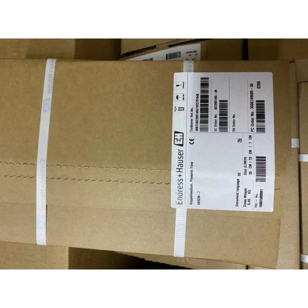 Endress+Hauser DK9CM-7 | Straight Thermowell, G1/2 PN40, 100mm Immersion