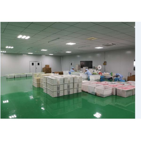 Food Grade Paper Straws Packaging Custom Box for Bar Accessories Type Drinking Straws