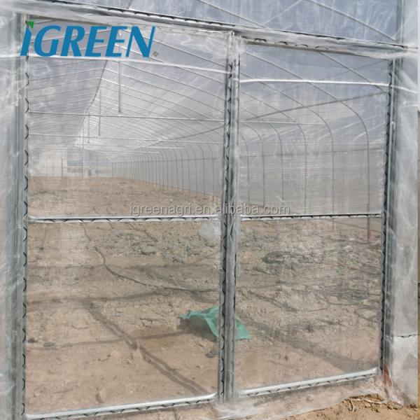 Multi Span Shade Net Greenhouse Rustproof For Strawberry And Mushroom