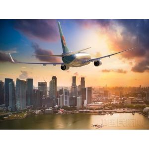 International Freight Logistic