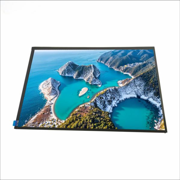 10.1-Inch Widescreen TFT Display with 1280×800 Resolution and 1000cd/m² High Brightness for Industrial Applications